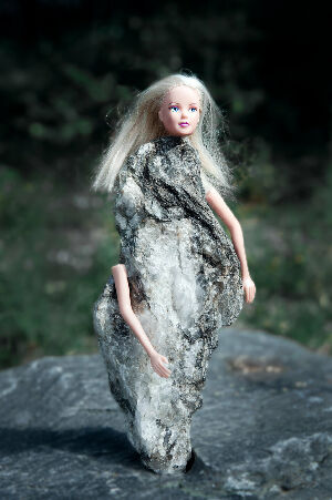 Без названия