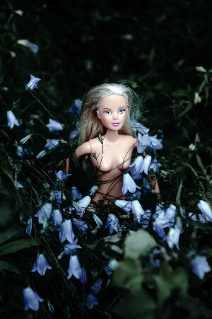 Без названия