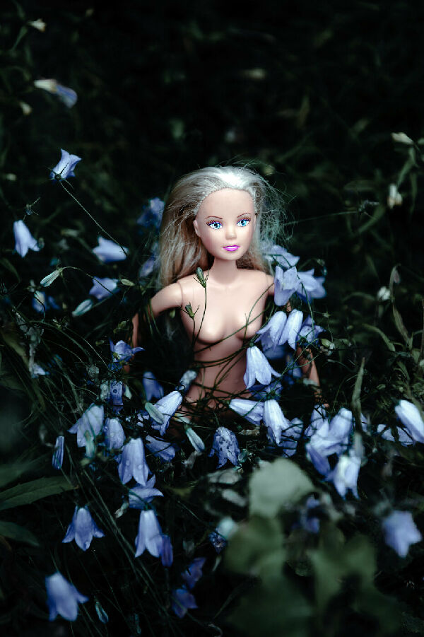 Без названия