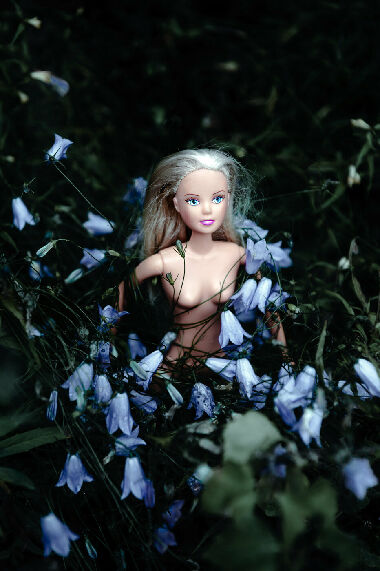 Без названия