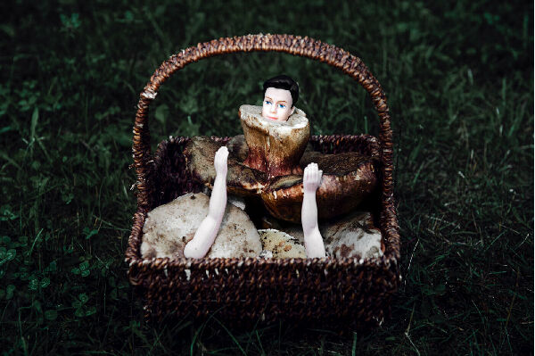 Без названия