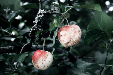 Без названия