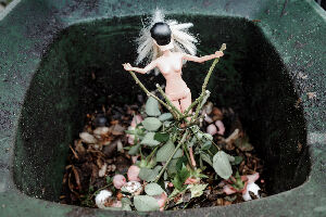 Без названия