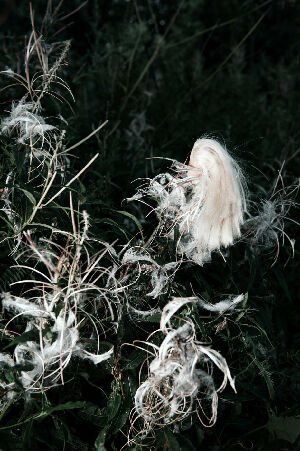 Без названия