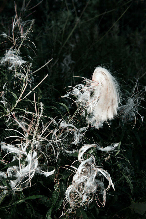 Без названия