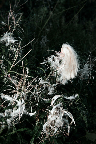 Без названия