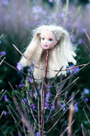 Без названия