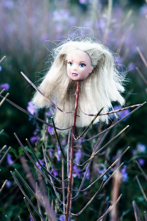 Без названия