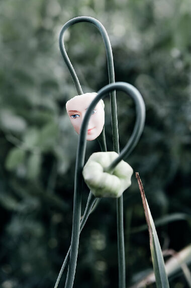 Без названия