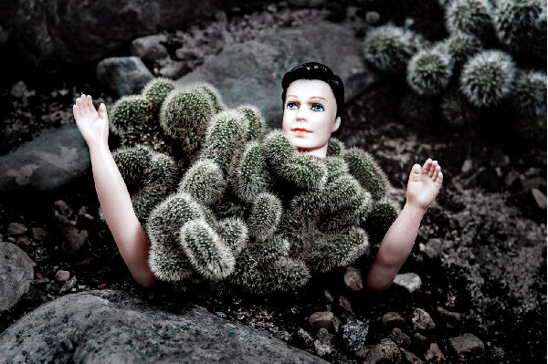 Без названия