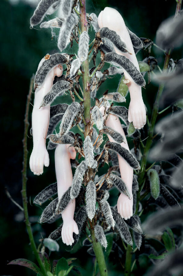 Без названия