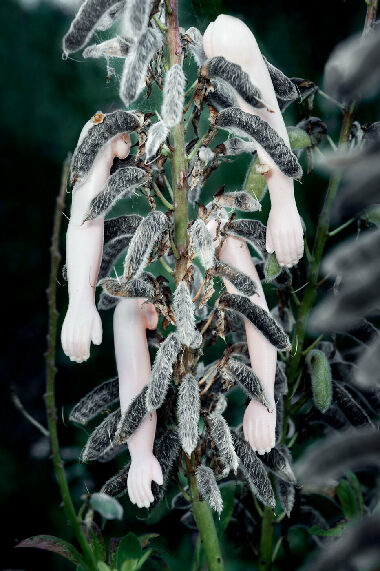 Без названия