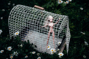 Без названия