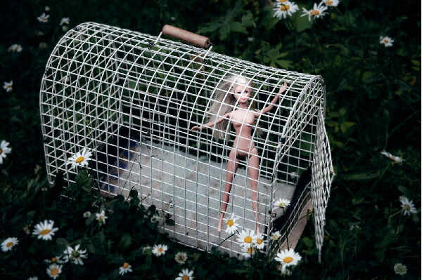 Без названия