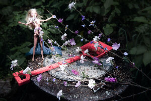 Без названия