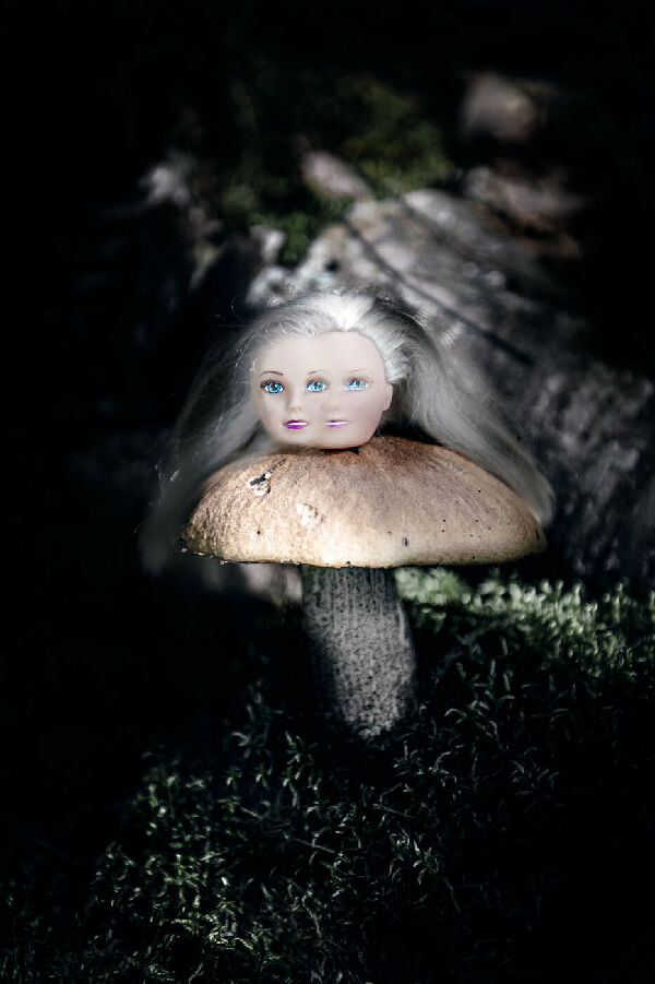 Без названия