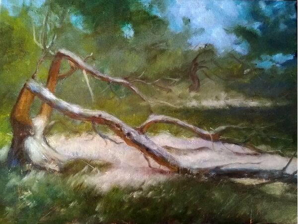 Ольгин остров