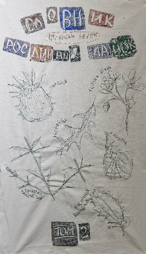 Словник рослинних лайок