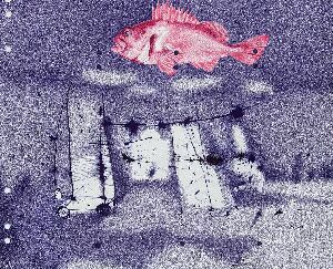 Без названия