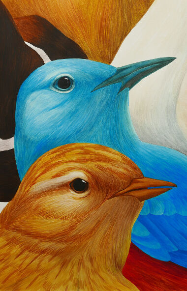 Другие 5 птиц