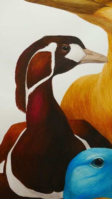 Другие 5 птиц