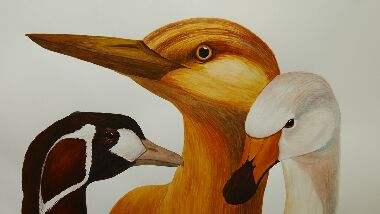 Другие 5 птиц