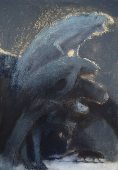 WHAT DO CATS REALLY SEE