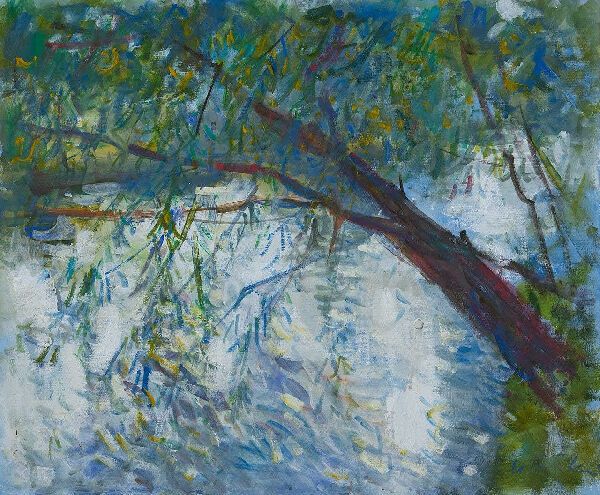 A Willow Tree over the Water