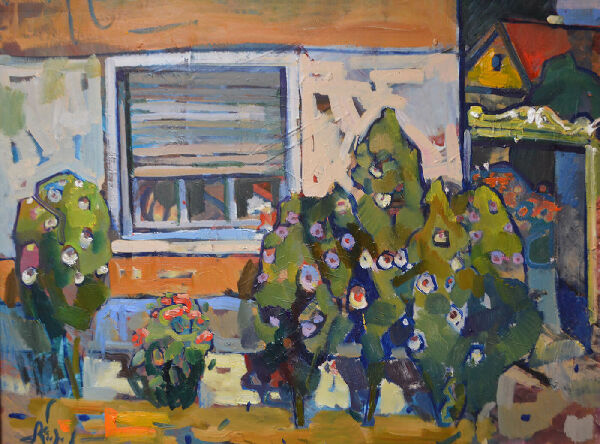 Гибискусы 2