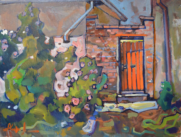 Гибискусы 1