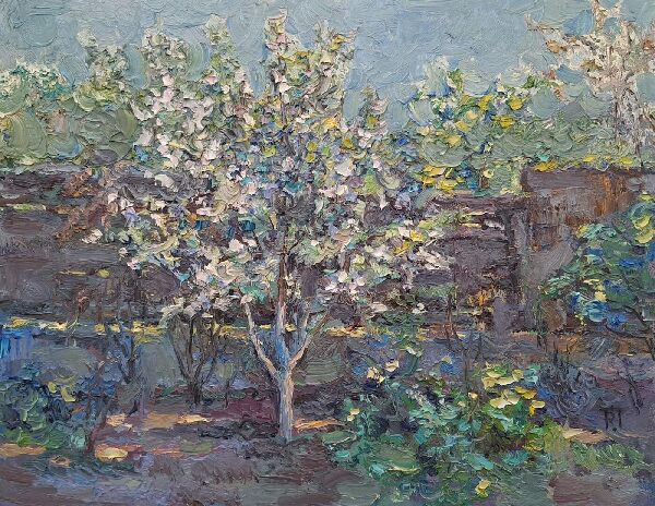 Яблонька расцвела