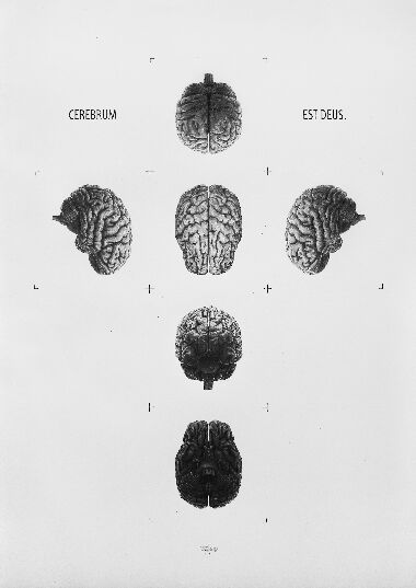 Новый символ