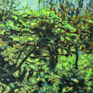 Дикий виноград