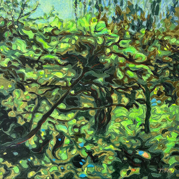 Дикий виноград