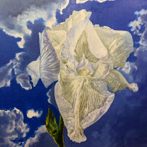 Весеннее небо