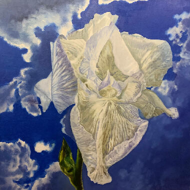 Весеннее небо