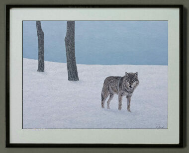 В диких условиях