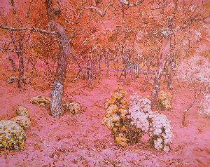 Останній вальс осені