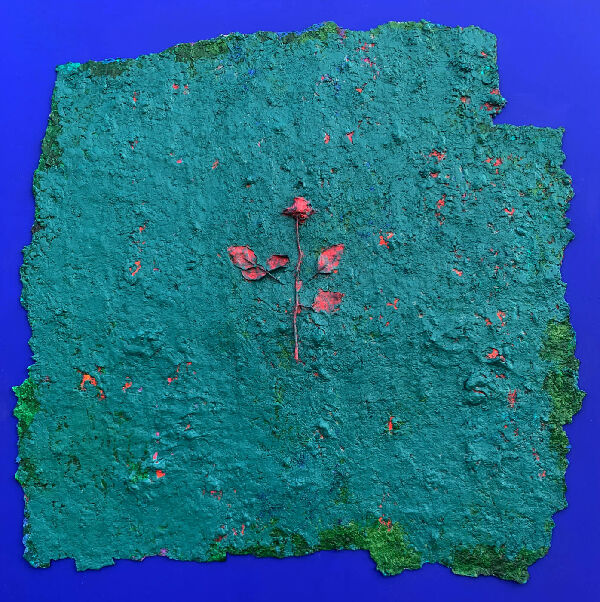 Flower, skin, garden