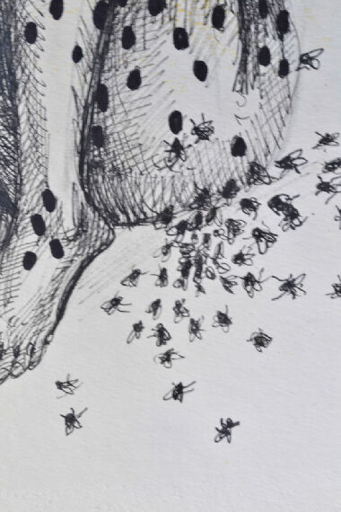 Впустить внутрь