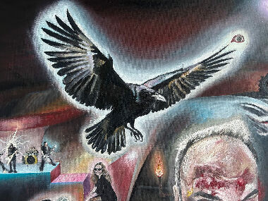 Shadow of a Bird Flying by