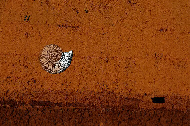 The Return of Reality 1