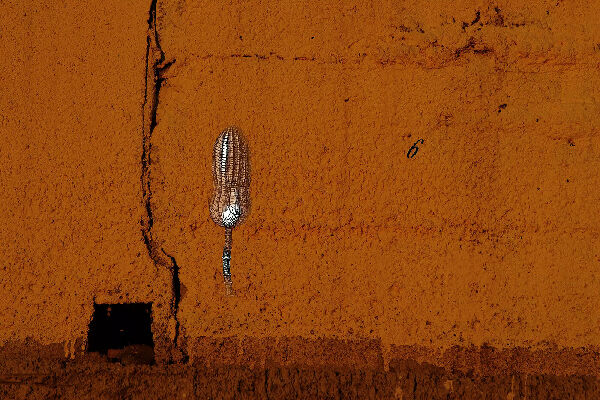 The Return of Reality 2