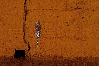 Повернення реальності 2