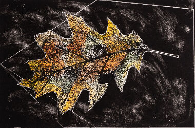 Без названия