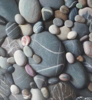 Без названия