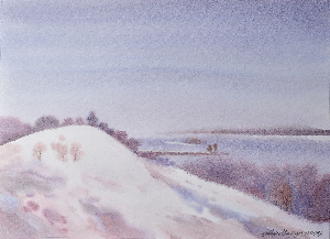 Без названия