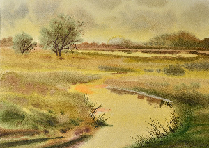 Без названия