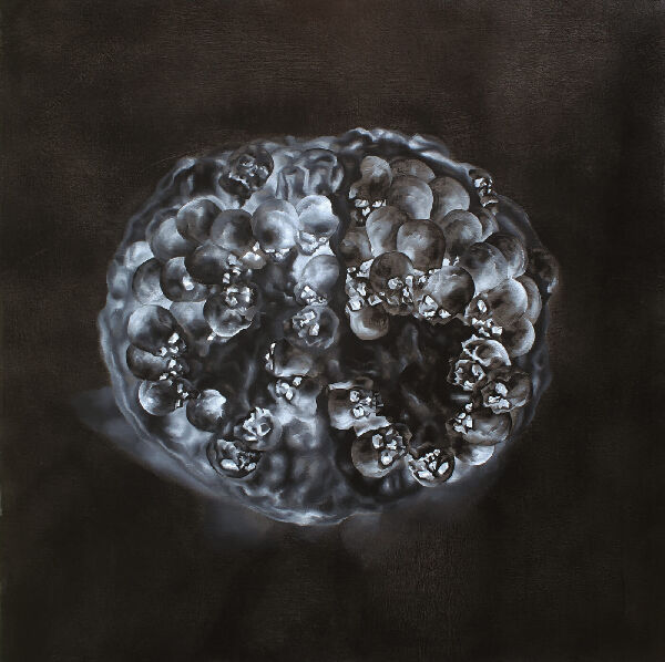 STILL LIFE