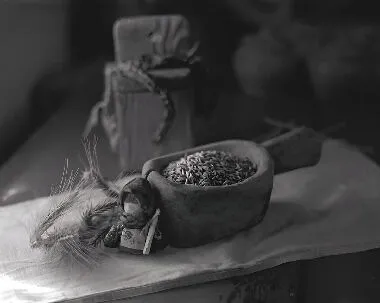 Натюрморт с куклой и зерном